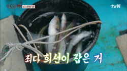 세월이 아니고 고기를 낚는 물고기 부자 "희태공♥" 김희선