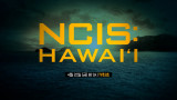 NCIS 세 번째 스핀오프 시리즈! NCISHAWAI'I 4/22 (금) 밤 9시 TV 최초 공개!