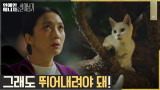 '만취' 김주령, 급기야 나무 위 고양이에게 자기투영을..?!