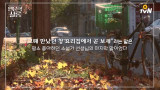 [9월 낭독 스페셜] 박준 시인의 ′이 구절을 추천해′